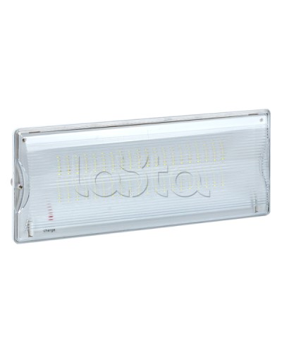 Светильник аварийного освещения SAFEWAY-40 LED EKF Proxima (dpa-202) в Хасавюрте Светильники Pintop.ru