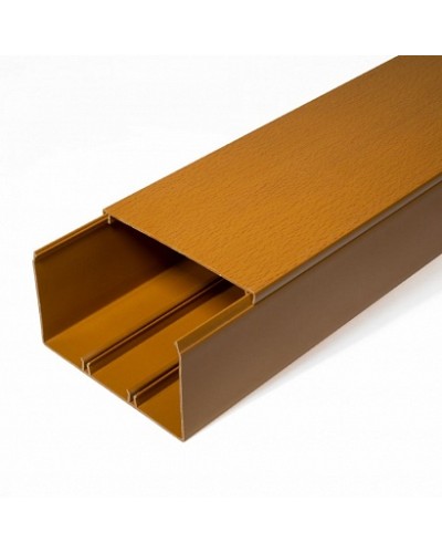 Кабель-канал бук 2-й замок 100х60 (16м/уп) Промрукав (PR.025447) в Хасавюрте Огнестойкие кабельные линии Pintop.ru