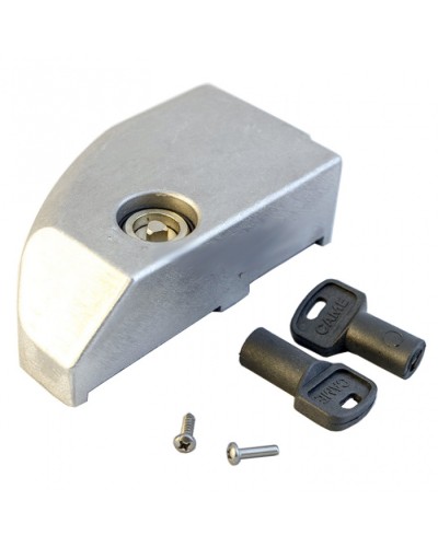 Дверца замка разблокировки BK Came 119RIBK012 в Хасавюрте Запчасти для шлагбаумов и автоматики Pintop.ru