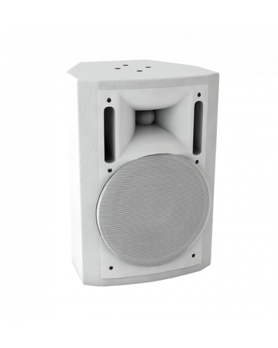 Громкоговоритель настенный Sonar SWM-60W в Хасавюрте Система оповещения и трансляции Sonar Pintop.ru