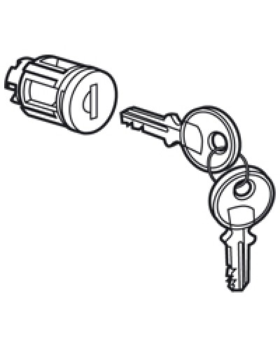 Цилиндр встроенный под ключ №405 Legrand 020291 в Хасавюрте Дополнительное оборудование для сетей Pintop.ru