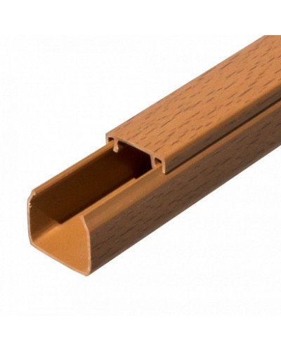 Кабель-канал бук 2-й замок в п/э 25х25 (32 м/уп) Промрукав (PR03.0198) в Хасавюрте Огнестойкие кабельные линии Pintop.ru