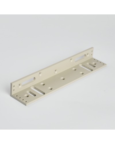 Монтажный аксеcсуар R-Lock RL-BR280-LG в Хасавюрте Дополнительное оборудование для СКУД Pintop.ru