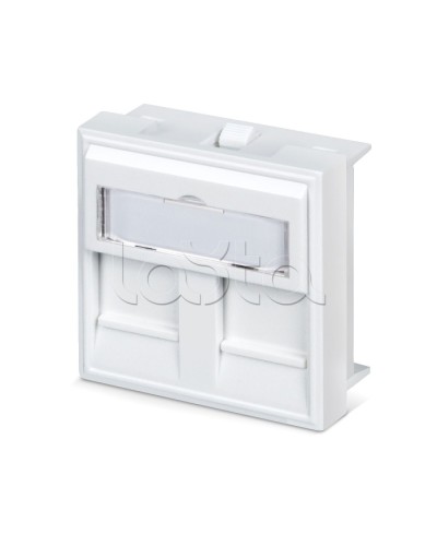 Вставка 45x45 (аналог Mosaic) для 2 модулей формата Keystone Jack Cabeus FP-45-2M в Хасавюрте Модули Keystone Pintop.ru