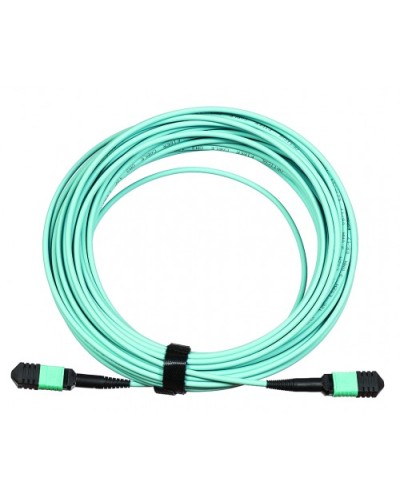 Сборка кабельная LANMASTER (LAN-12M-12M/OM3B-10) в Хасавюрте Коннекторы Pintop.ru