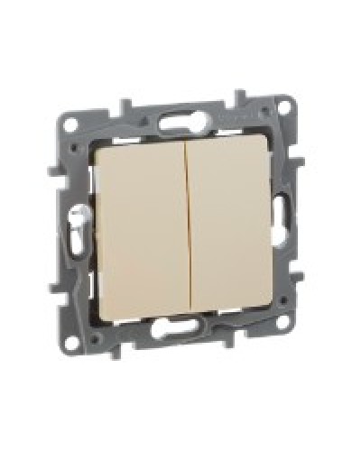 Переключатель двухклавишный 10AX Plus Legrand 672312 в Хасавюрте Аксессуары для кабель-канала Pintop.ru