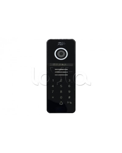 Видеопанель Fox FX-CP29 ЧЕРНЫЙ в Хасавюрте Вызывные видеопанели малоабонентные Pintop.ru