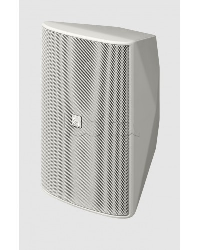 Громкоговоритель 2 полосный TOA F-1300WT в Хасавюрте Системы оповещения и трансляции TOA Pintop.ru