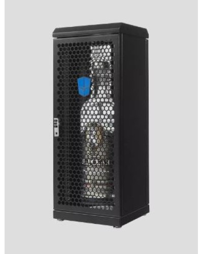 Шкаф серверный сувенирный ЦМО (ШТК-СП-С-8.1.1-9005) в Хасавюрте Аксессуары для стоек и шкафов Pintop.ru