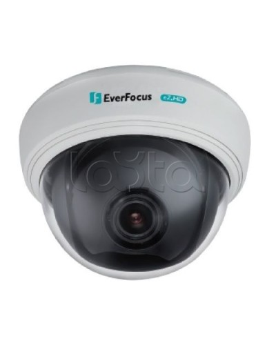 AHD-камера видеонаблюдения купольная EverFocus ED-910F в Хасавюрте Аналоговые камеры Pintop.ru