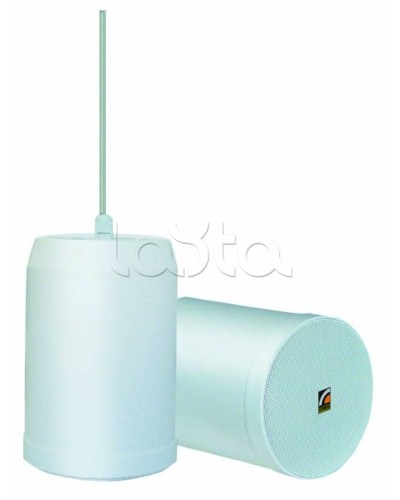 Громкоговоритель встраиваемый ROXTON SP-20T в Хасавюрте Система оповещения и трансляции Roxton Pintop.ru