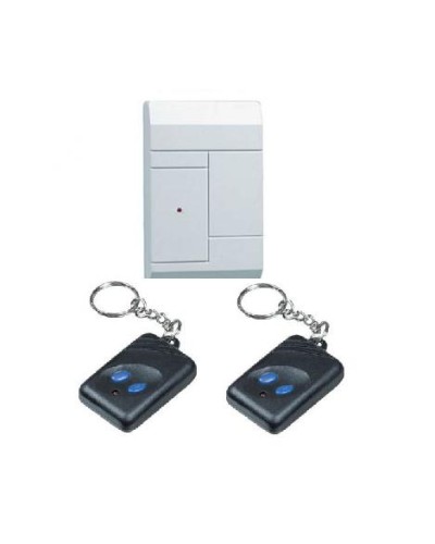 Комплект приёмник RR-1R + 2 брелока RFG-1 Альтоника Риф Ринг RR-1 в Хасавюрте Радиоканальные системы безопасности Pintop.ru