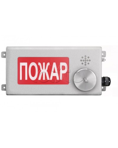 Табло светозвуковое взрывозащищенное Спектрон ТСЗВ-Exi-Н-Прометей-МИНИ 12-36В в Хасавюрте Оповещатели Ex Pintop.ru