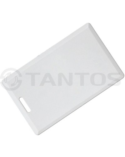 Карта толстая формата Temic Tantos Temic (толстая) TS в Хасавюрте Оптовые идентификаторы Pintop.ru