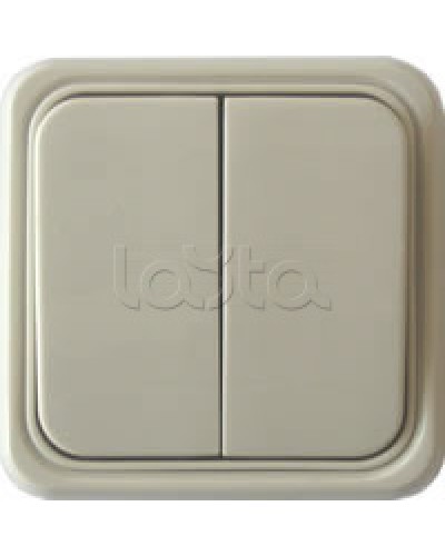 Выключатель двухклавишный открытой установки Экопласт, схема 5, (бежевый) в Хасавюрте Розетки компьютерные и телефонные Pintop.ru