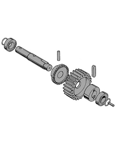 Вал в сборе C-BY Came 119RIC031 в Хасавюрте Запчасти для шлагбаумов и автоматики Pintop.ru