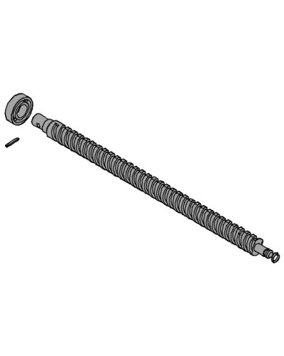 Винт ходовой AX302304, AX3024, АХ402306, AX412306 Came 119RID319 в Хасавюрте Запчасти для шлагбаумов и автоматики Pintop.ru