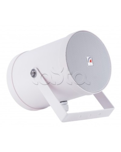 Двунаправленный Прожектор звуковой ROXTON SW-10T2 в Хасавюрте Система оповещения и трансляции Roxton Pintop.ru