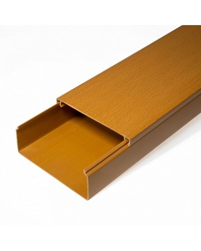 Кабель-канал бук 2-й замок в п/э 100х40 (8 м/уп) Промрукав (PR03.0206) в Хасавюрте Огнестойкие кабельные линии Pintop.ru