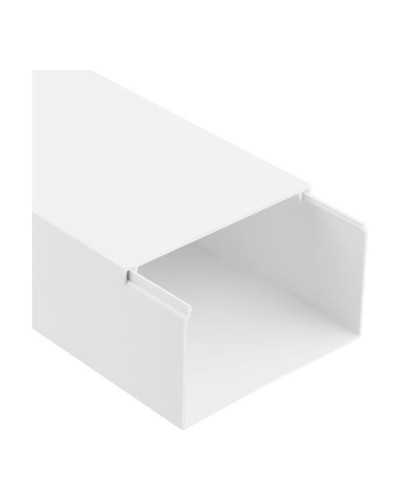 Кабель-канал 100х60мм, белый (8 м/уп) Rexant (28-0060-2) в Хасавюрте Кабель-канал Pintop.ru