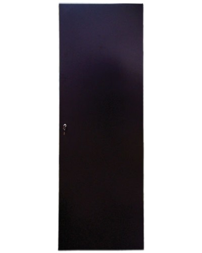 Дверь задняя для шкафов серии Business металл, 42U, ширина 600 мм TWT TWT-CBB-DRM1-42U-6 в Хасавюрте Аксессуары для стоек и шкафов Pintop.ru