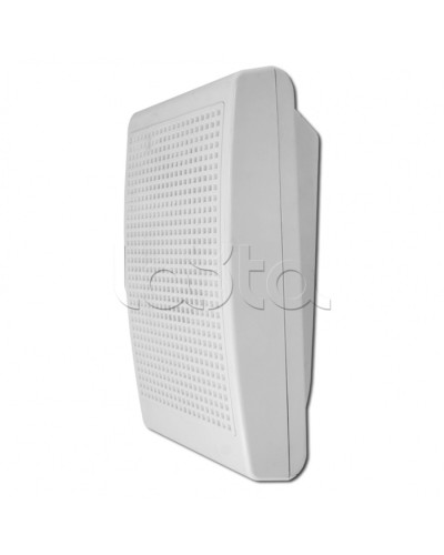 Модуль акустический С-Т-100 3/5 (ИП Раченков А.В.) в Хасавюрте Оповещатели Pintop.ru