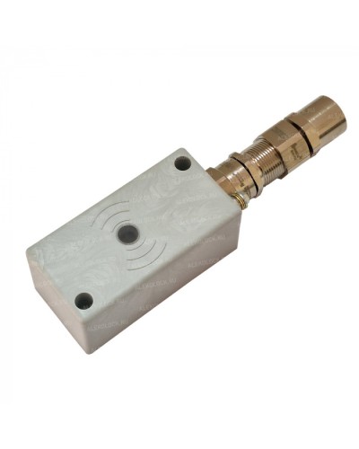 Считыватель взрывозащищенный ALeko ALM-RD-S08-NM-RMFEH-T в Хасавюрте Считыватели Pintop.ru