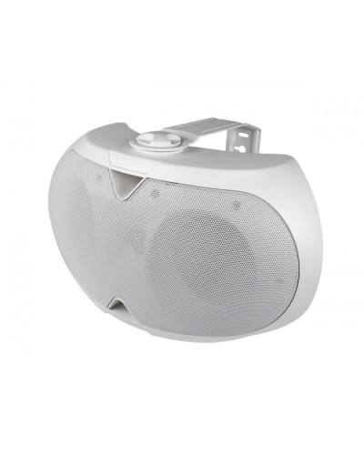 Громкоговоритель настенный 2-х полосный VOLTA ELLIPSE-2440TW в Хасавюрте Система оповещения и трансляции Volta Pintop.ru