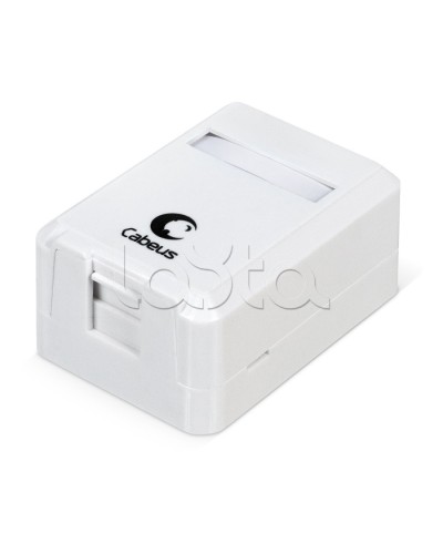 Корпус внешней настенной розетки на 1 Keystone Cabeus MB-1 в Хасавюрте Дополнительное оборудование для сетей Pintop.ru