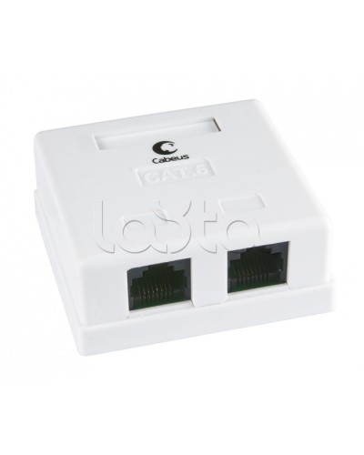 Розетка компьютерная RJ-45(8P8C), категория 6, двойная, внешняя, Krone type Cabeus WS-8P8C-Cat.6-2 в Хасавюрте Розетки компьютерные и телефонные Pintop.ru