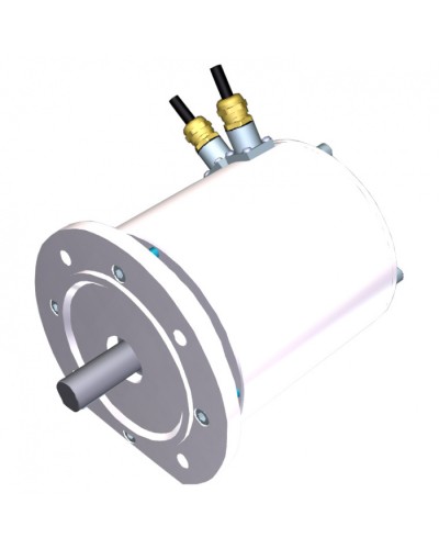 Электродвигатель FROG-MS Came 119RIA081 в Хасавюрте Запчасти для шлагбаумов и автоматики Pintop.ru