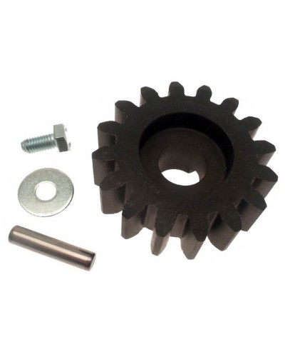 Шестерня ведущая BXV Came 119RIBS001 в Хасавюрте Запчасти для шлагбаумов и автоматики Pintop.ru