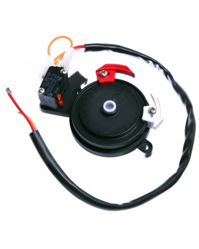 Концевые микровыключатели в сборе BX-243 Came 119RIBX041 в Хасавюрте Запчасти для шлагбаумов и автоматики Pintop.ru