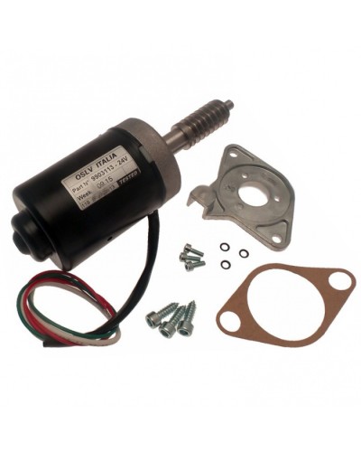 Электродвигатель BX-243 в сборе Came 119RIBX046 в Хасавюрте Запчасти для шлагбаумов и автоматики Pintop.ru