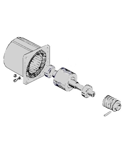 Электродвигатель С-100 Came 119RIC052 в Хасавюрте Запчасти для шлагбаумов и автоматики Pintop.ru