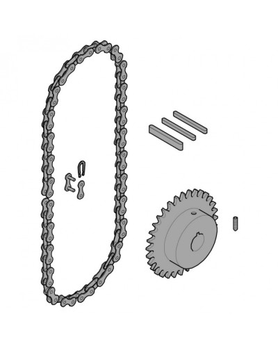 Передающая система (цепь и звездочки) C005 Came 119RICX016 в Хасавюрте Запчасти для шлагбаумов и автоматики Pintop.ru