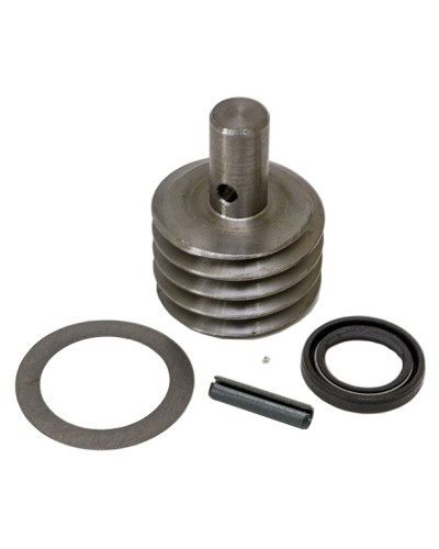 Червяк F1000 F1024 Came 119RID084 в Хасавюрте Запчасти для шлагбаумов и автоматики Pintop.ru