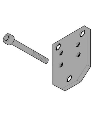Пластина монтажная FLEX Came 119RID143 в Хасавюрте Запчасти для шлагбаумов и автоматики Pintop.ru