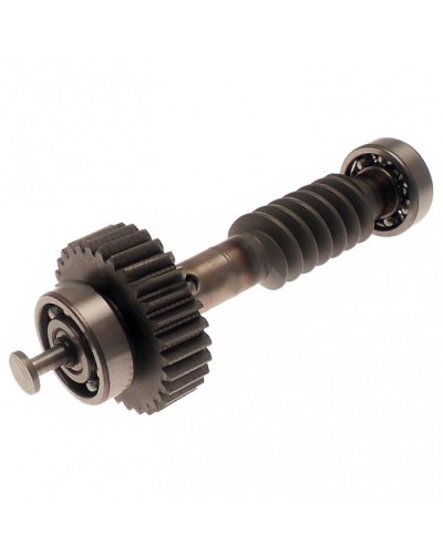 Червяк редуктора FAST в сборе Came 119RID228 в Хасавюрте Запчасти для шлагбаумов и автоматики Pintop.ru