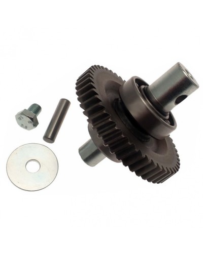 Шестерня редуктора FAST в сборе Came 119RID229 в Хасавюрте Запчасти для шлагбаумов и автоматики Pintop.ru