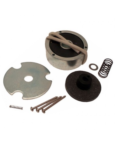 Электромагнит AMICO в сборе Came 119RID274 в Хасавюрте Запчасти для шлагбаумов и автоматики Pintop.ru