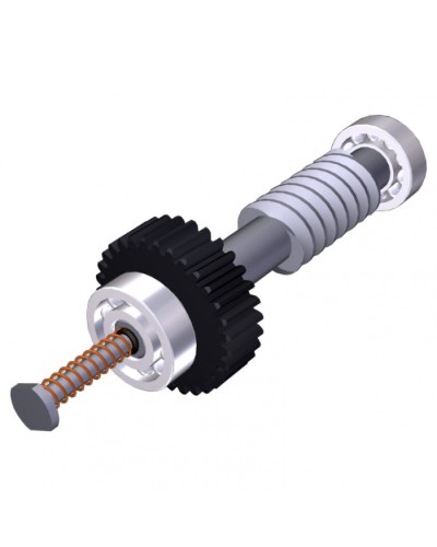 Червяк редуктора FAST40 Came 119RID374 в Хасавюрте Запчасти для шлагбаумов и автоматики Pintop.ru