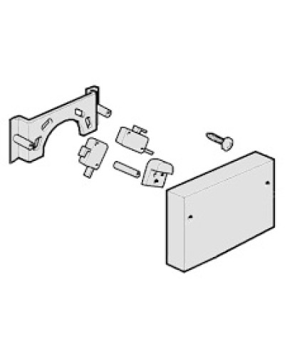 Микровыключатели G4000, G3750 Came 119RIG040 в Хасавюрте Запчасти для шлагбаумов и автоматики Pintop.ru