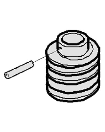 Червяк G3000 Came 119RIG413 в Хасавюрте Запчасти для шлагбаумов и автоматики Pintop.ru