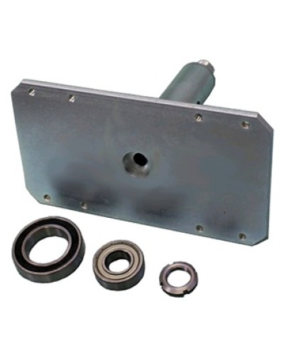 Электромагнит с механизмом разблокировки Came 119RIH022 в Хасавюрте Запчасти для шлагбаумов и автоматики Pintop.ru