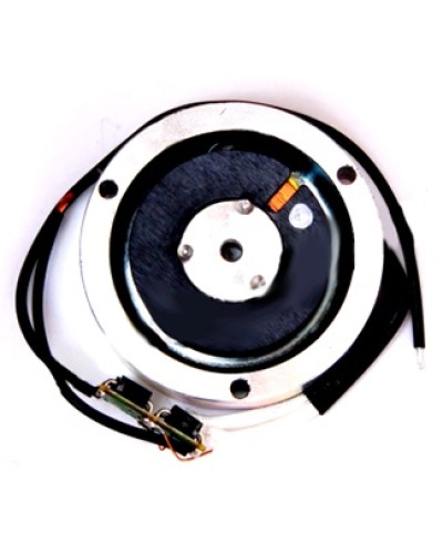 Электромагнит BY1500T Came 119RIY034 в Хасавюрте Запчасти для шлагбаумов и автоматики Pintop.ru