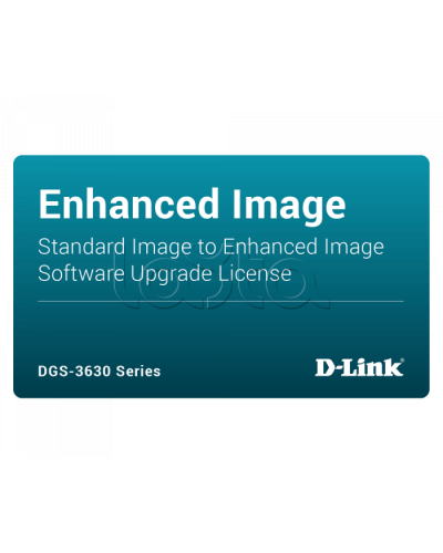 ПО D-Link DGS-3630-28PC-SE-LIC в Хасавюрте Беспроводное оборудование Pintop.ru