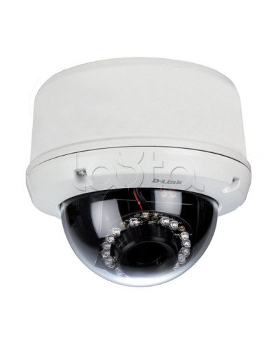 IP-камера видеонаблюдения уличная купольная D-Link DCS-6510/EP в Хасавюрте IP-камеры Pintop.ru