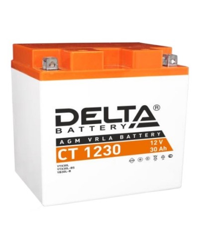 Аккумулятор АКБ 12 - 30 Delta CT 1230 в Хасавюрте Электротехническое оборудование Pintop.ru