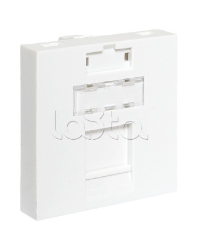 Вставка розеточная TERACOM PRO 45x45мм формат Mosaic на 1 модуль Keystone белая EKF (TRP-INS-MOS-2M1P-WH) в Хасавюрте Розетки компьютерные и телефонные Pintop.ru